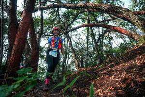 BIB: 
                            <button type="button" onclick="openModal(26344429)" class="btn btn-primary btn-sm float-right btn-popup" data-toggle="modal" data-target=".modal-high-quality">
                        <i class="fas fa-shopping-cart"></i> Add to Cart
                    </button>
                                            <button type="button" onclick="isThisMe(26344429, true)" class="btn btn-success btn-sm float-right btn-popup btn-isme hidden" data-toggle="tooltip" data-placement="bottom" title="นี่คือรูปของคุณใช่ไหม คลิกที่นี่เพื่อเอาเข้าอัลบั้ม">
                        <i class="fas fa-plus"></i> Add to album
                    </button>
                    <button type="button" onclick="isThisMe(26344429, false)" class="btn btn-warning btn-sm float-right btn-popup btn-isnotme hidden">
                        <i class="fas fa-ban"></i> Remove from album
                    </button>